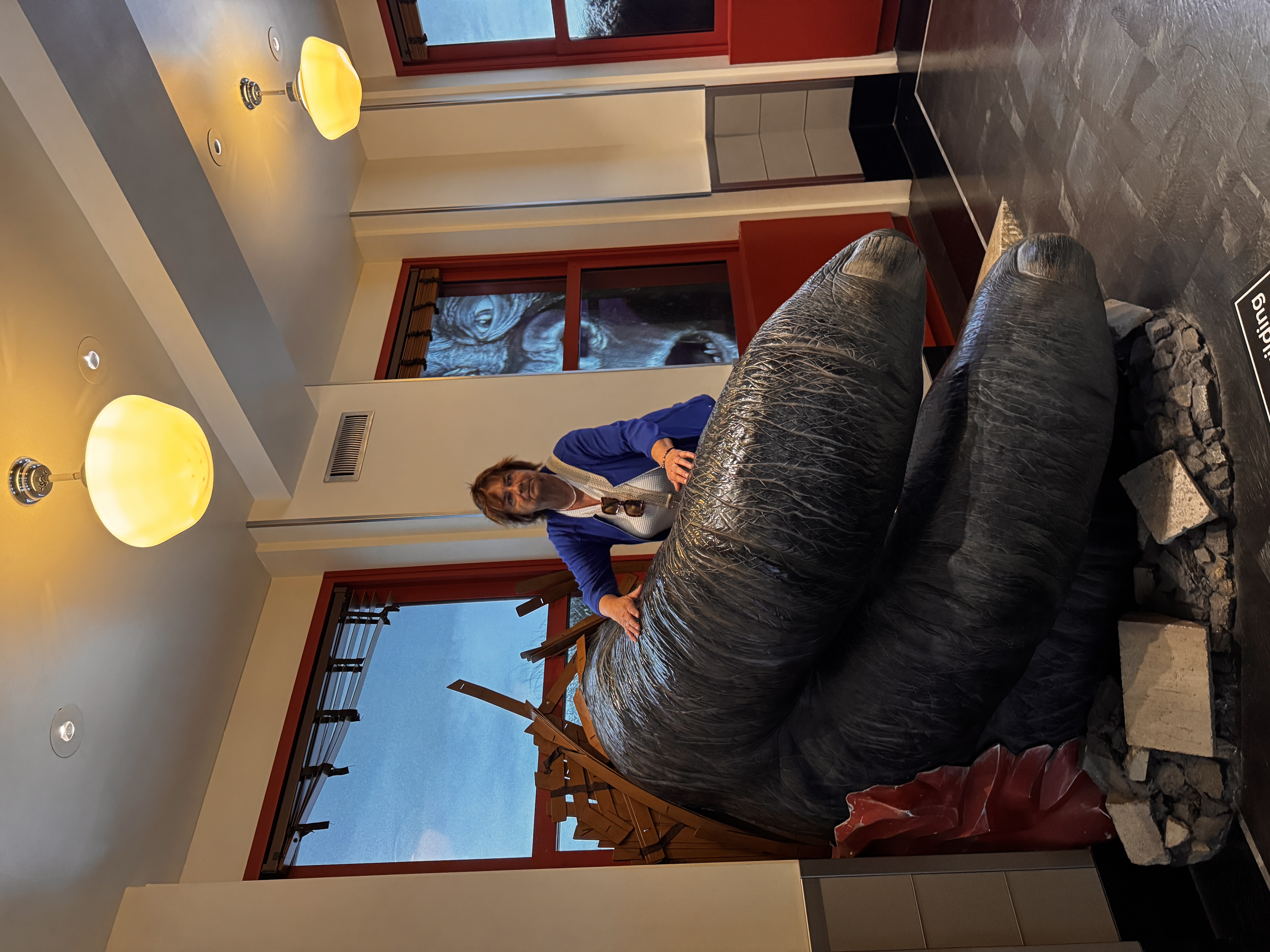 America – Photo 44